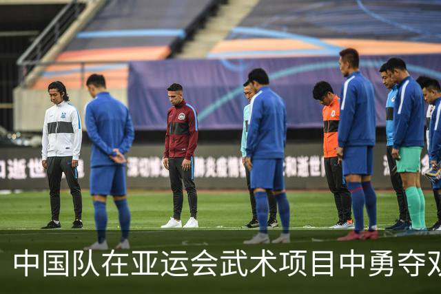 中国队在亚运会武术项目中勇夺双金